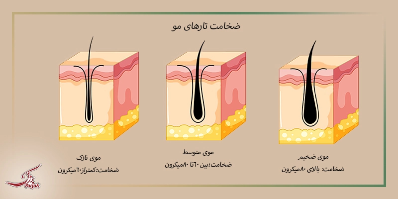 تفاوت بین  نازک شدن مو سر و ریزش مو