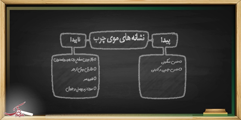 علائم و نشانه‌های موهای چرب