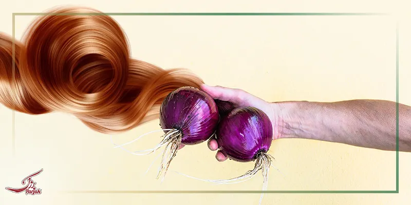 نقش پیاز مو در چرخه رشد مو چیست؟