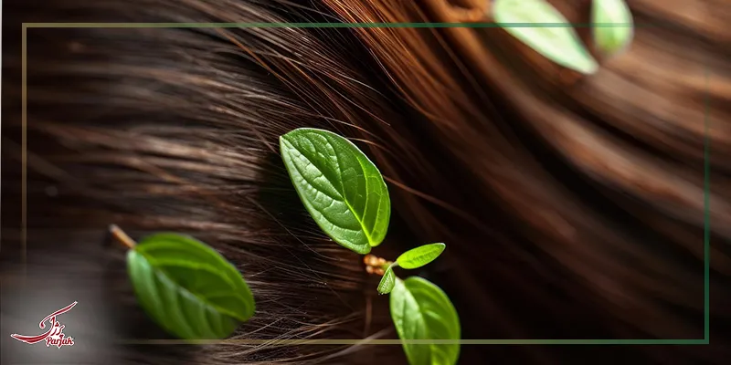 کراتینه گیاهی یا ارگانیک