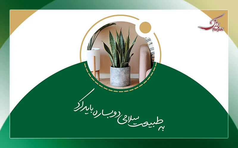 پرورش و تکثیر گیاهان زینتی آپارتمانی