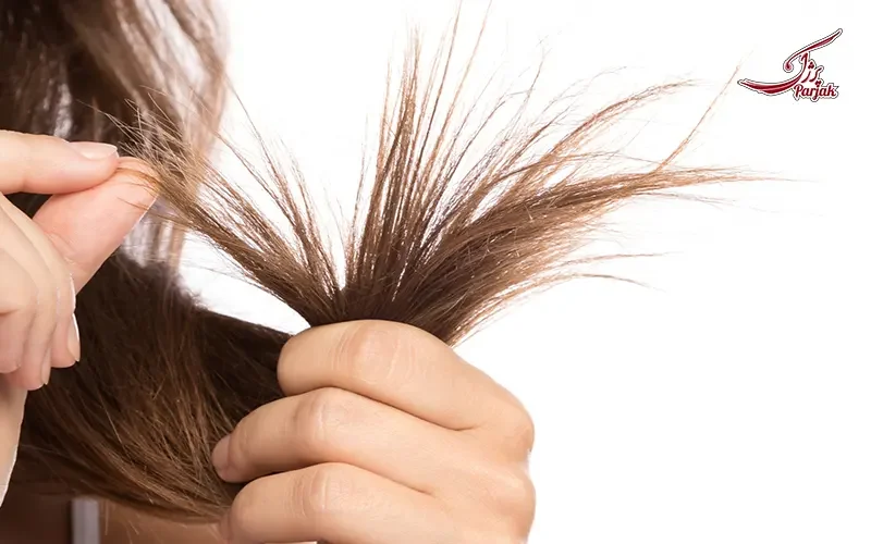 موخوره چیست؟